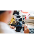 Analyse und Diagnose