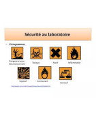 Sicherheit und Umwelt